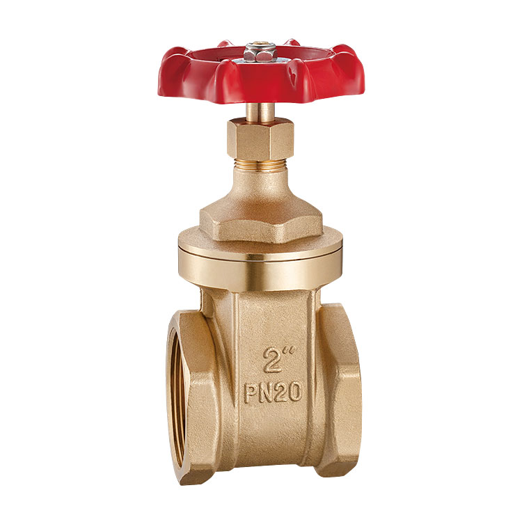2900 Brass gate valve